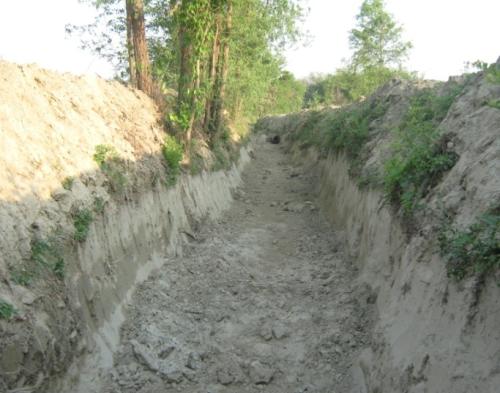 Agriculture and Allied Work